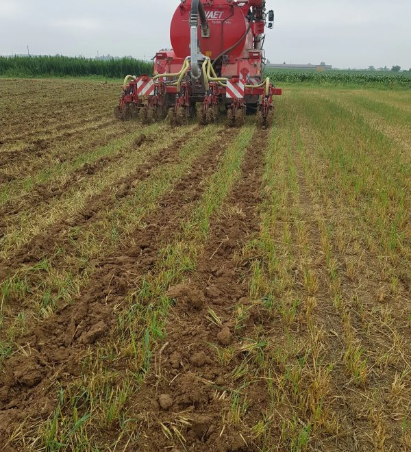 Strip-Till-scaled